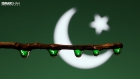 Pakistan Flag in reflection of water drop - Independence Day