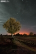 A view field in the moonlight in Kohat - KPK - Pakistan