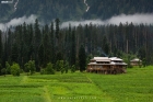 Beautiful-Landscape-at-Arang-Kel-in-Azad-Kashmir-Pakistan